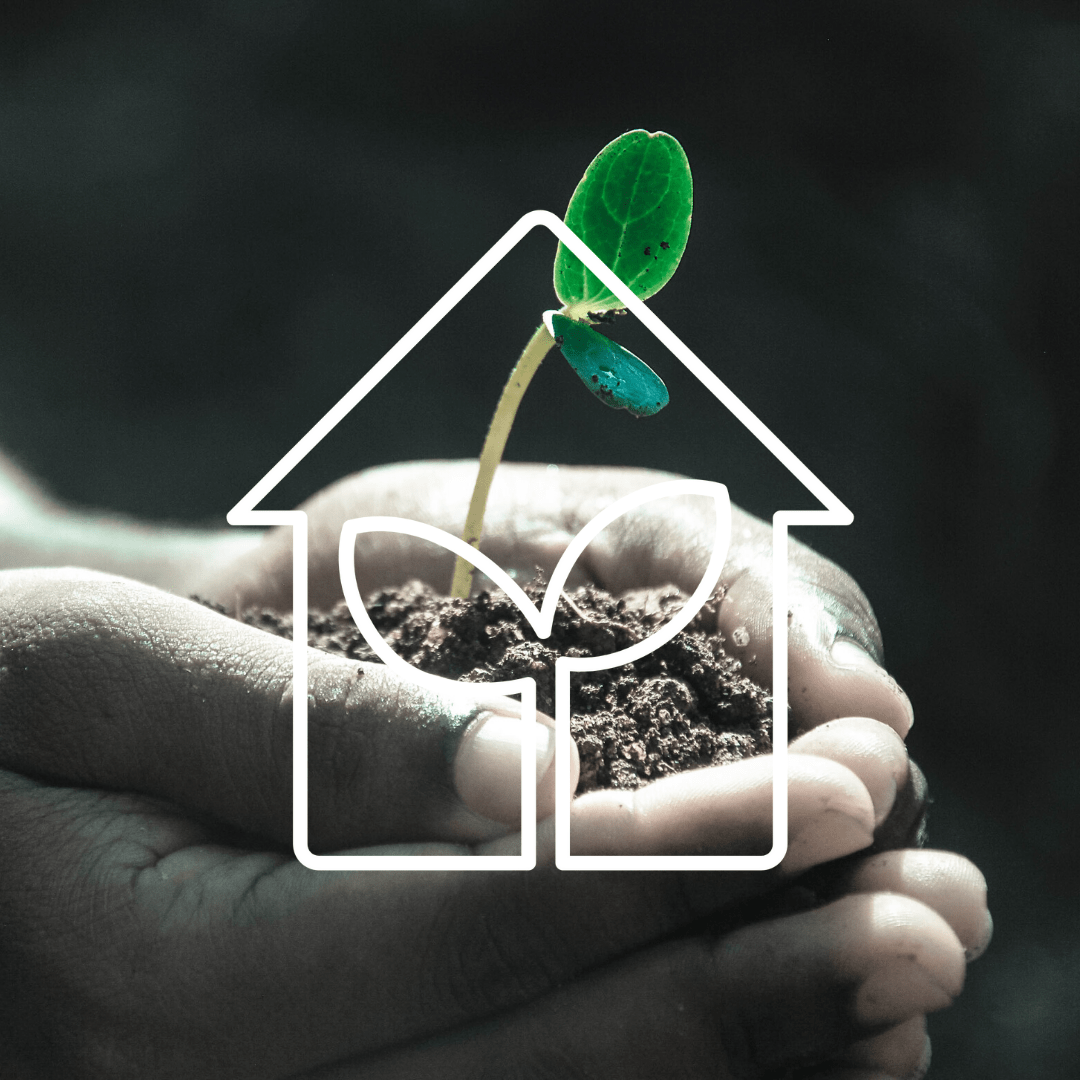Nest And Grow